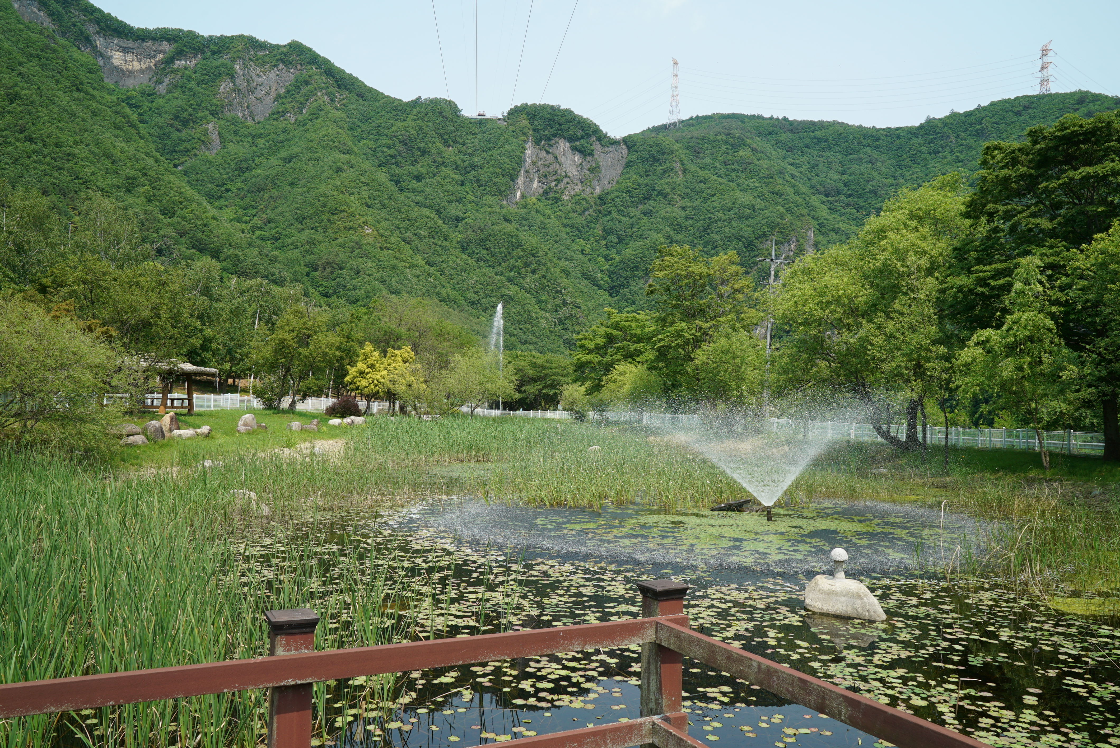 정선 펫 캠핑장