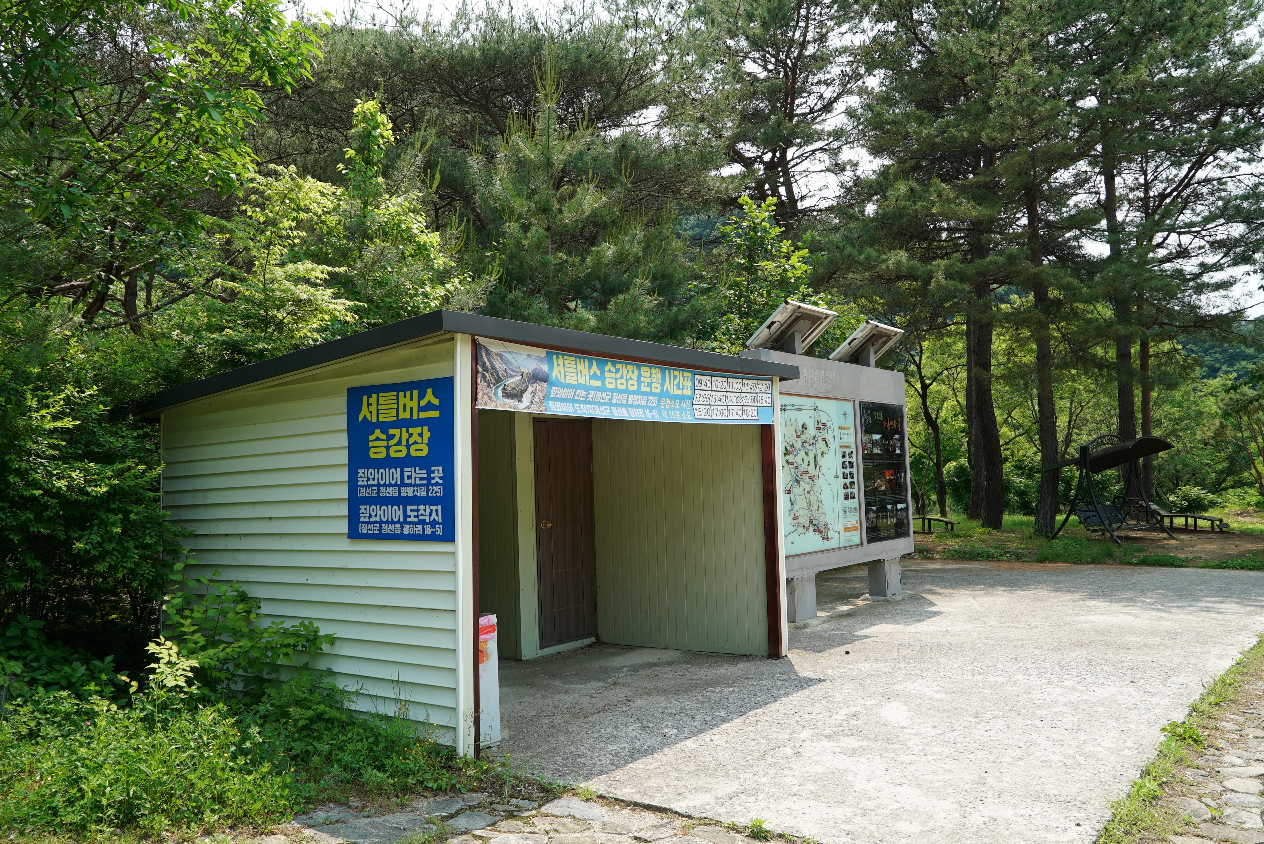 정선 펫 캠핑장