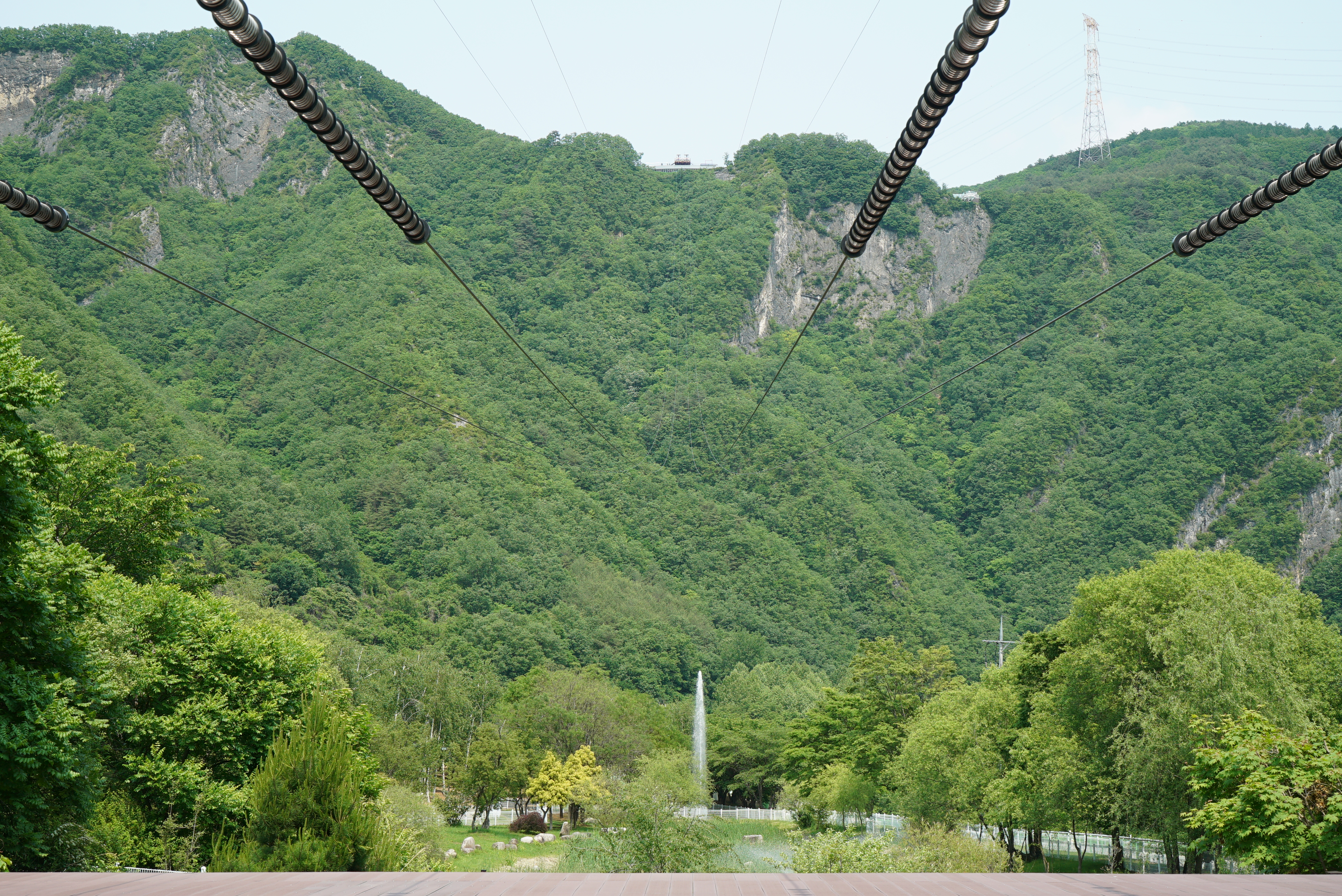 정선 펫 캠핑장