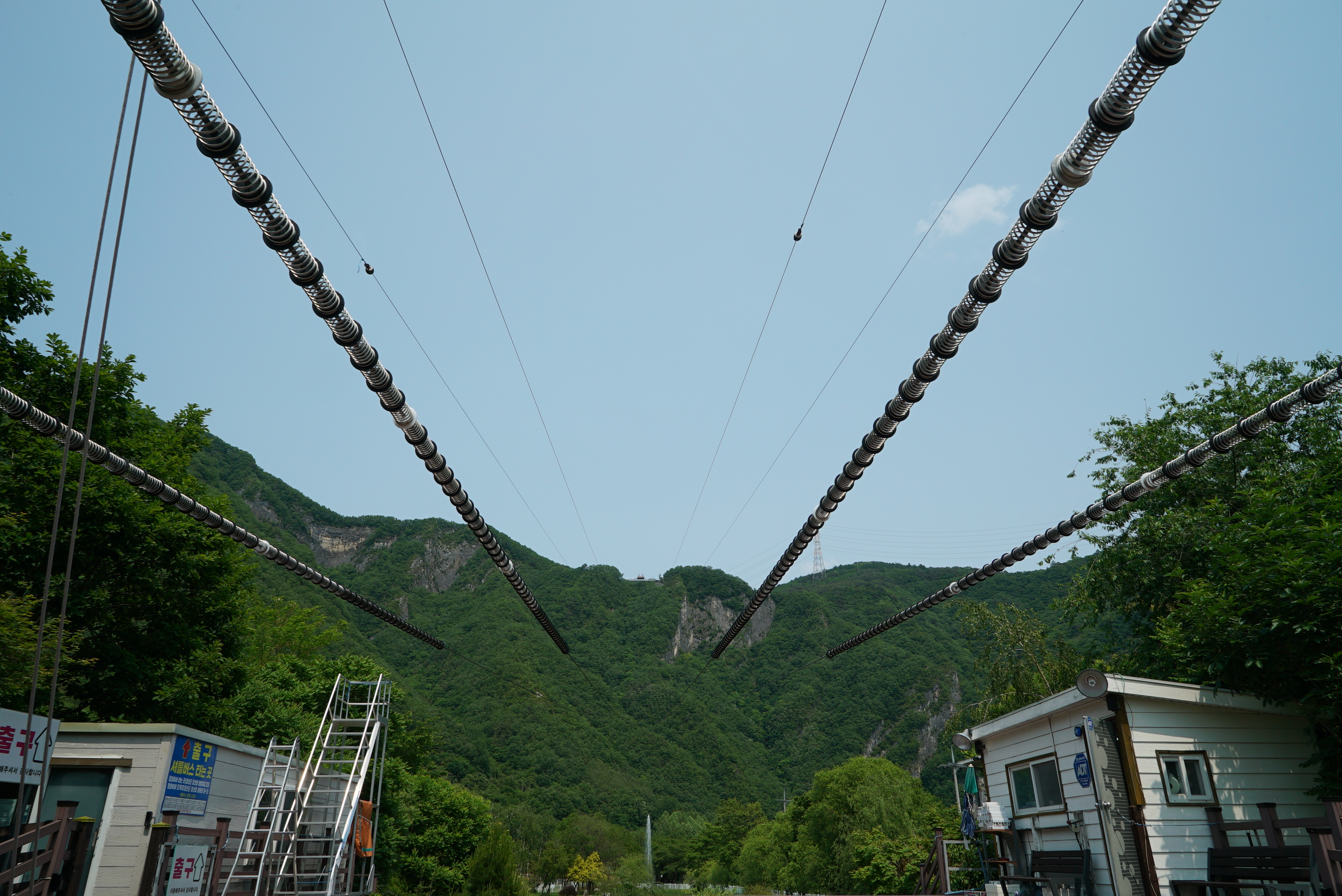 정선 펫 캠핑장