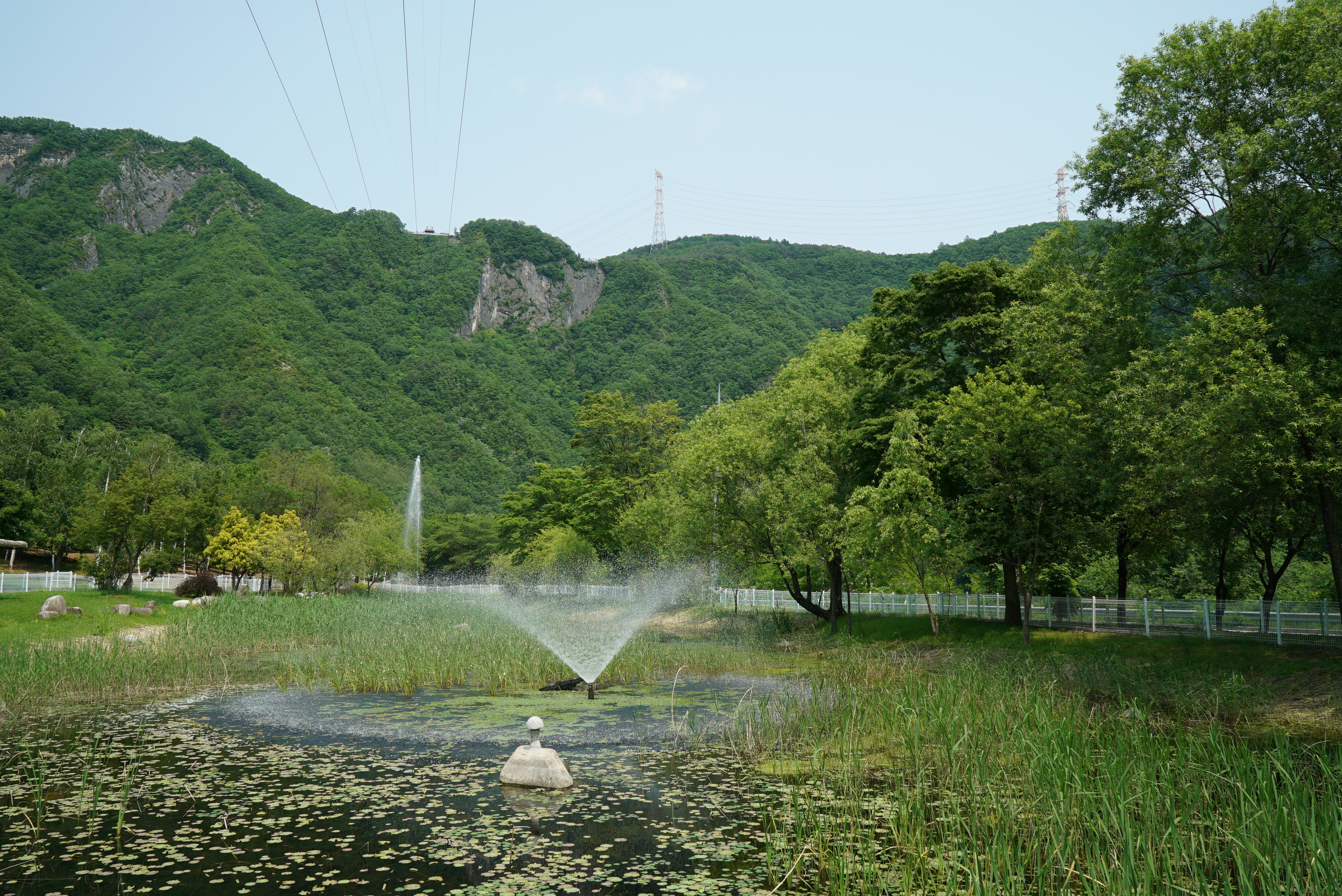 정선 펫 캠핑장