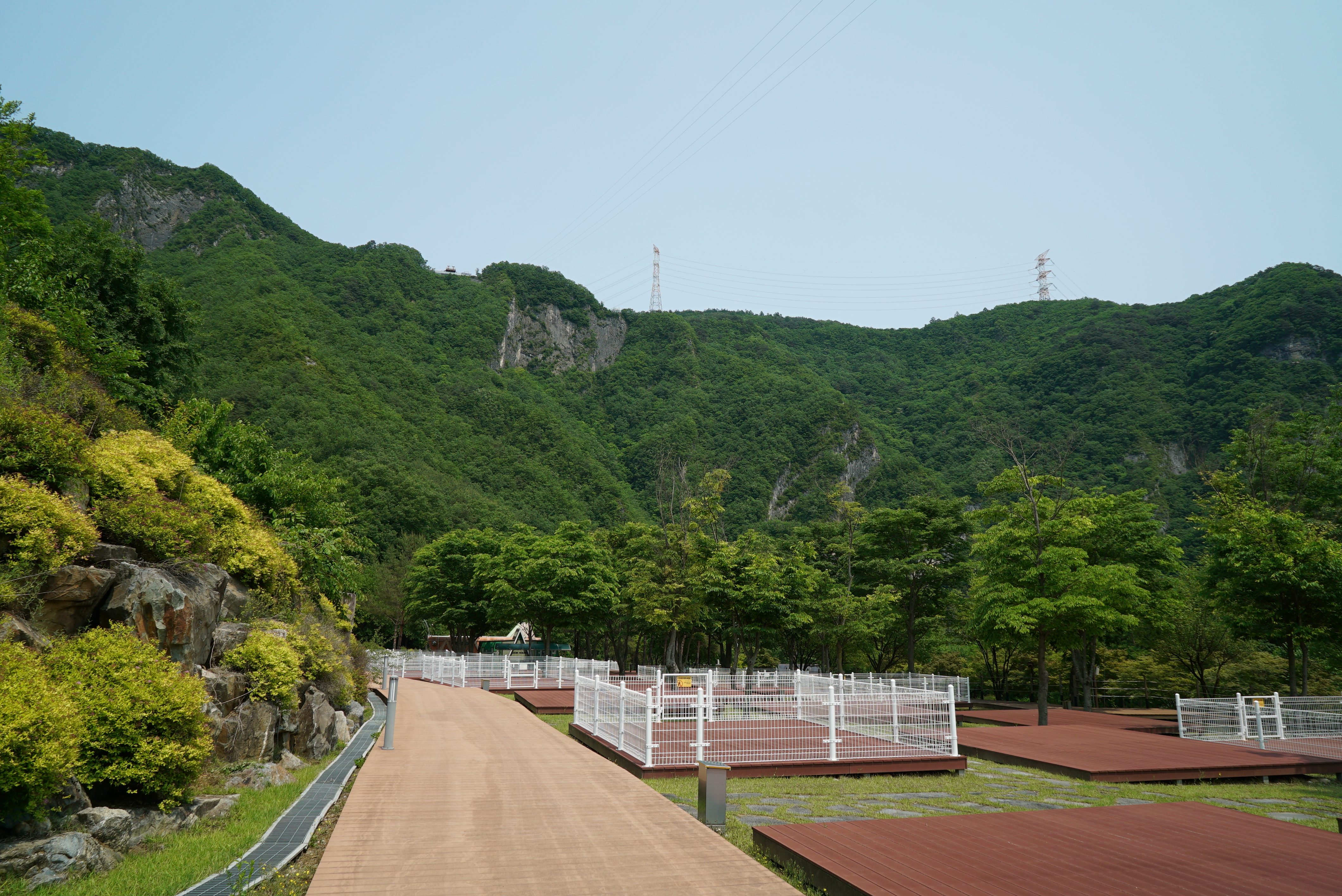 정선 펫 캠핑장