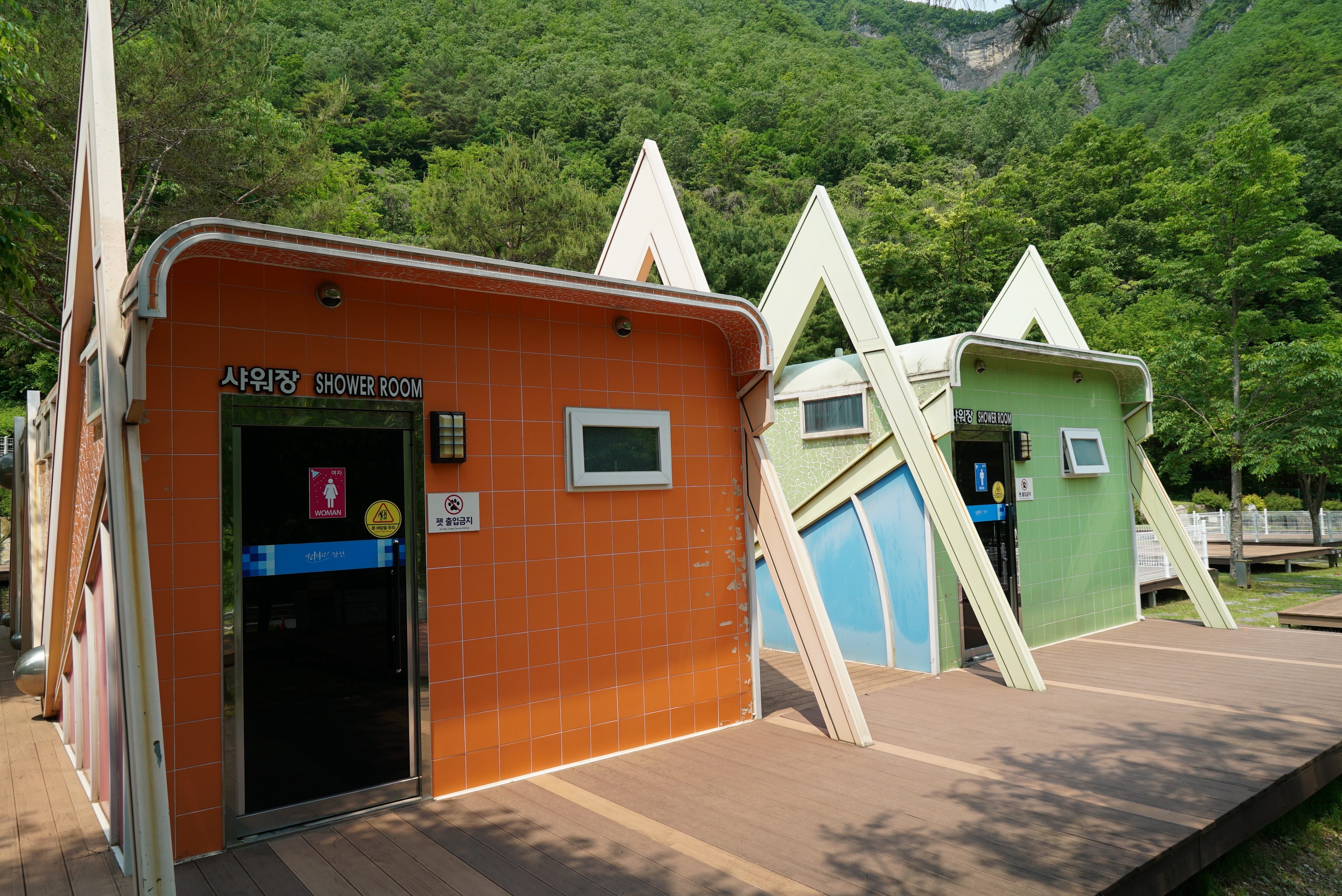 정선 펫 캠핑장