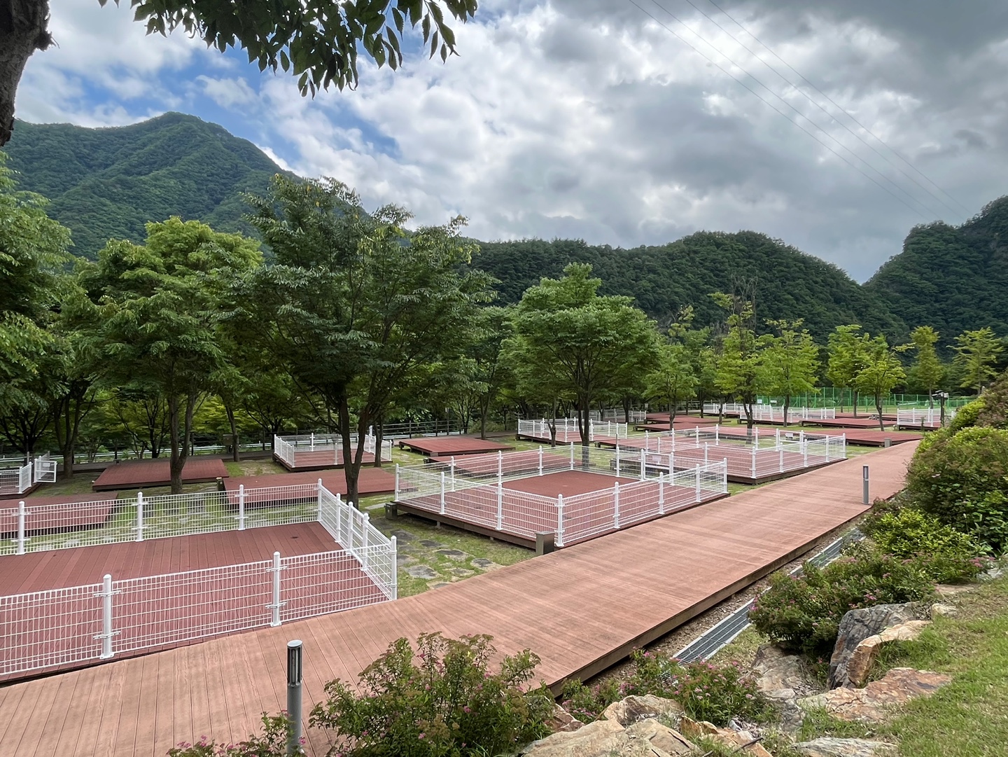 정선군생태체험학습장야영장 펫 동반 캠핑장