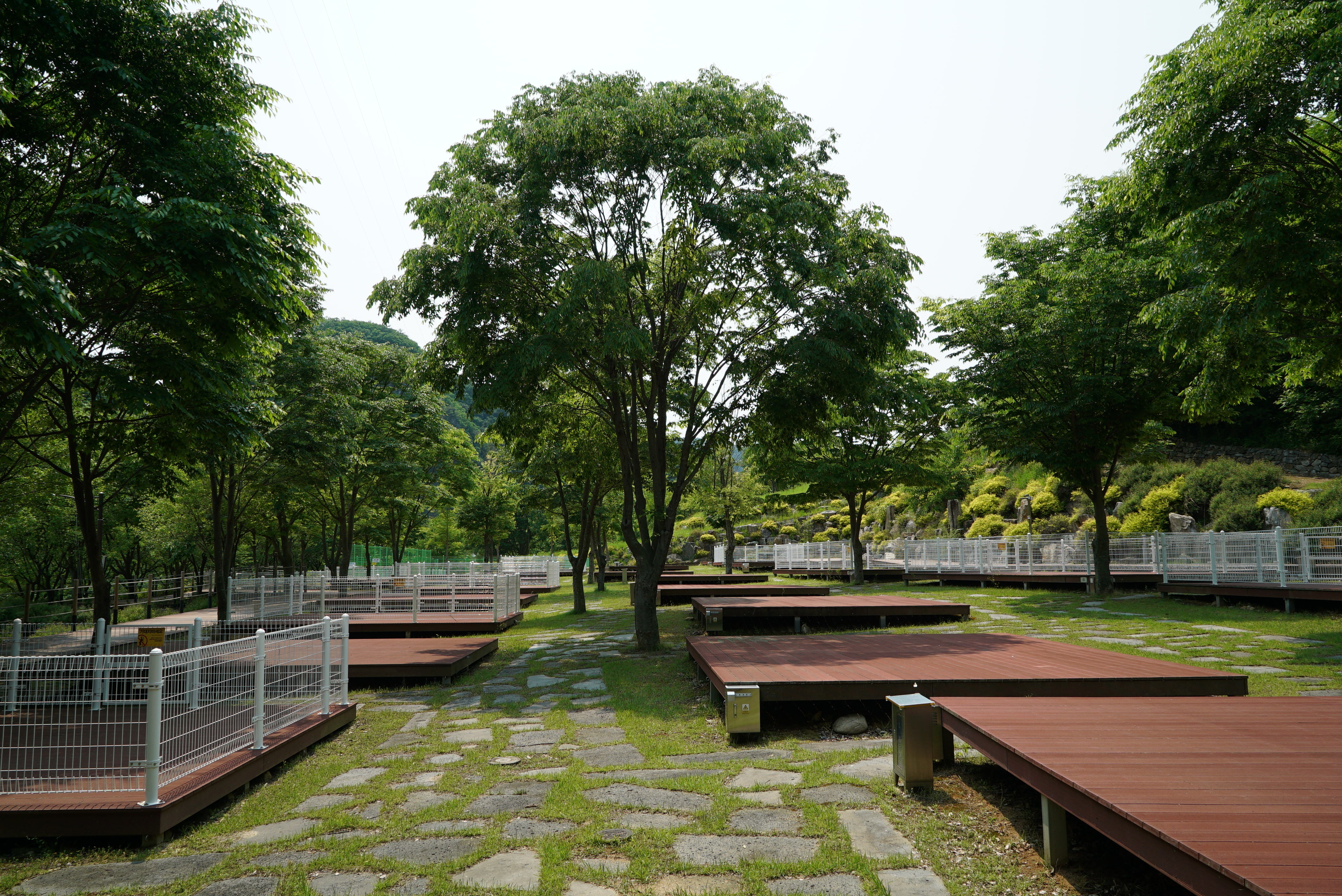 정선 펫 캠핑장