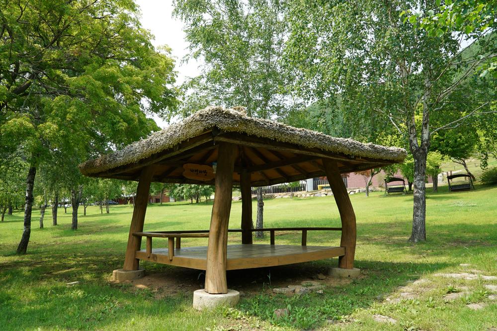 정선군생태체험학습장야영장 펫 동반 캠핑장