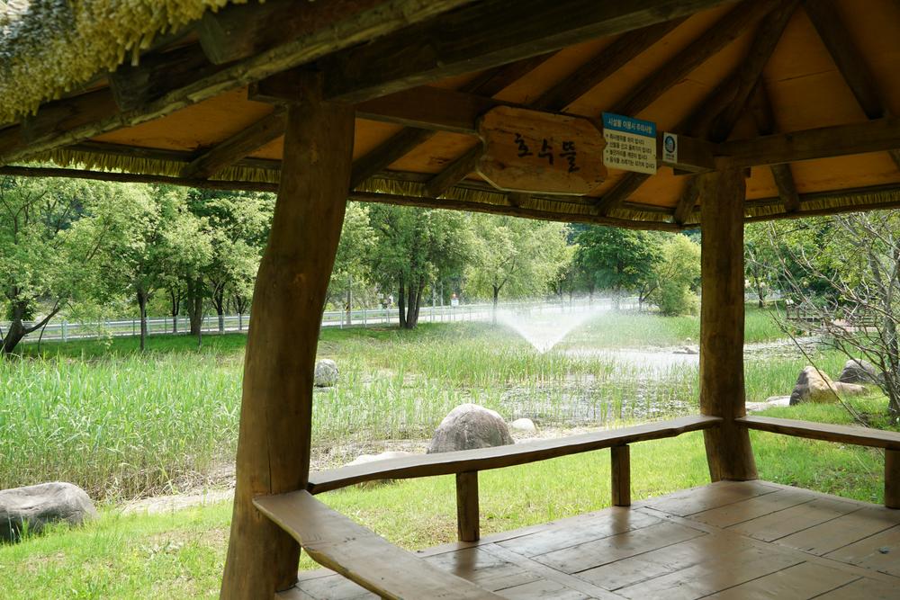 정선군생태체험학습장야영장 펫 동반 캠핑장