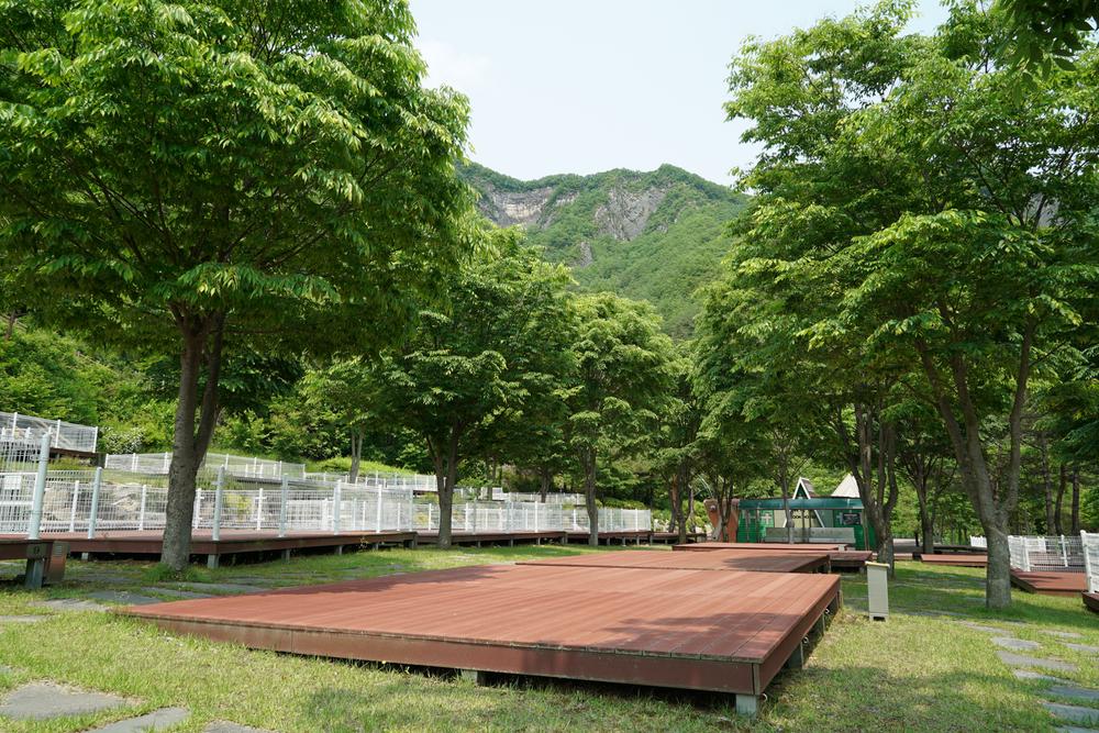 정선군생태체험학습장야영장 펫 동반 캠핑장