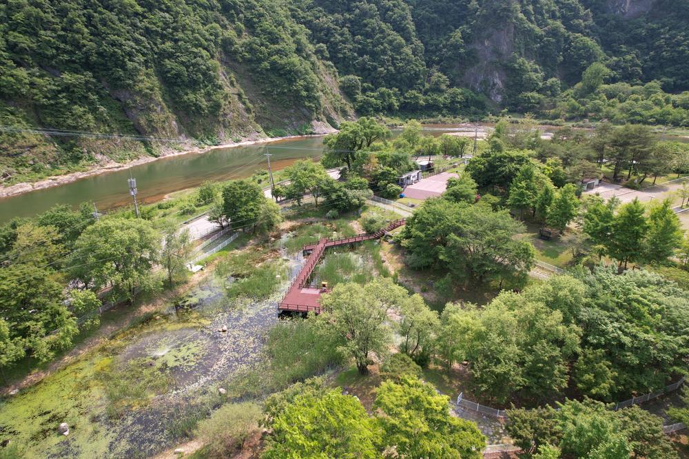 정선군생태체험학습장야영장 펫 동반 캠핑장