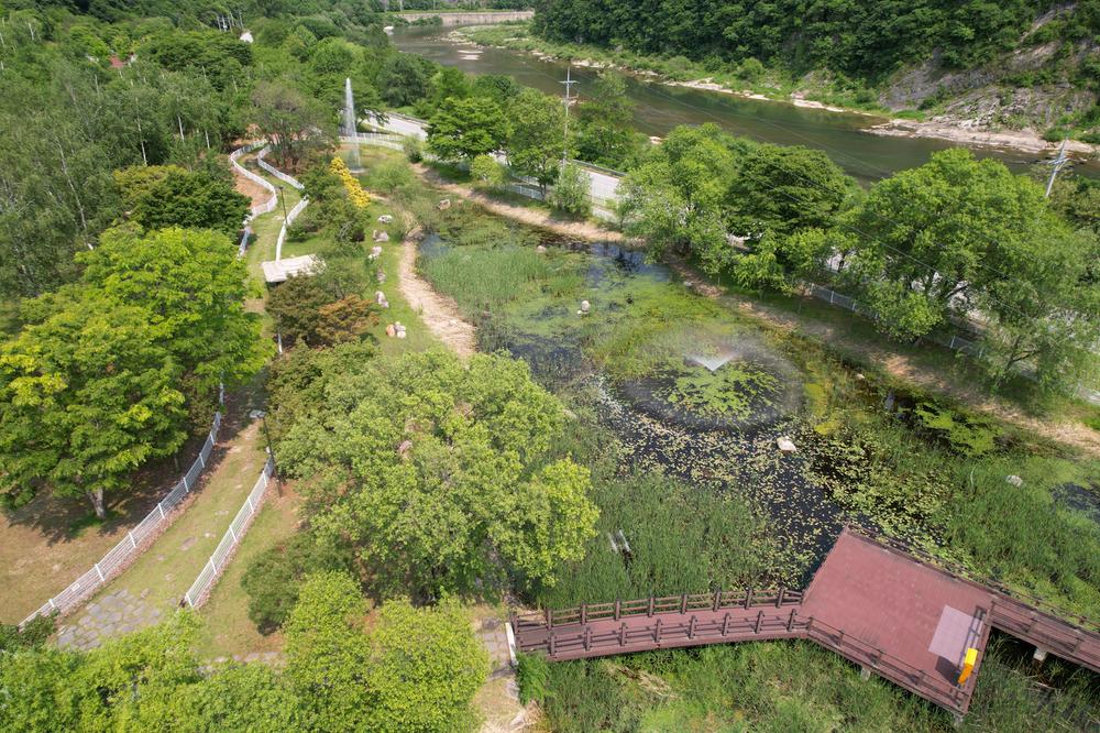 정선군생태체험학습장야영장 펫 동반 캠핑장