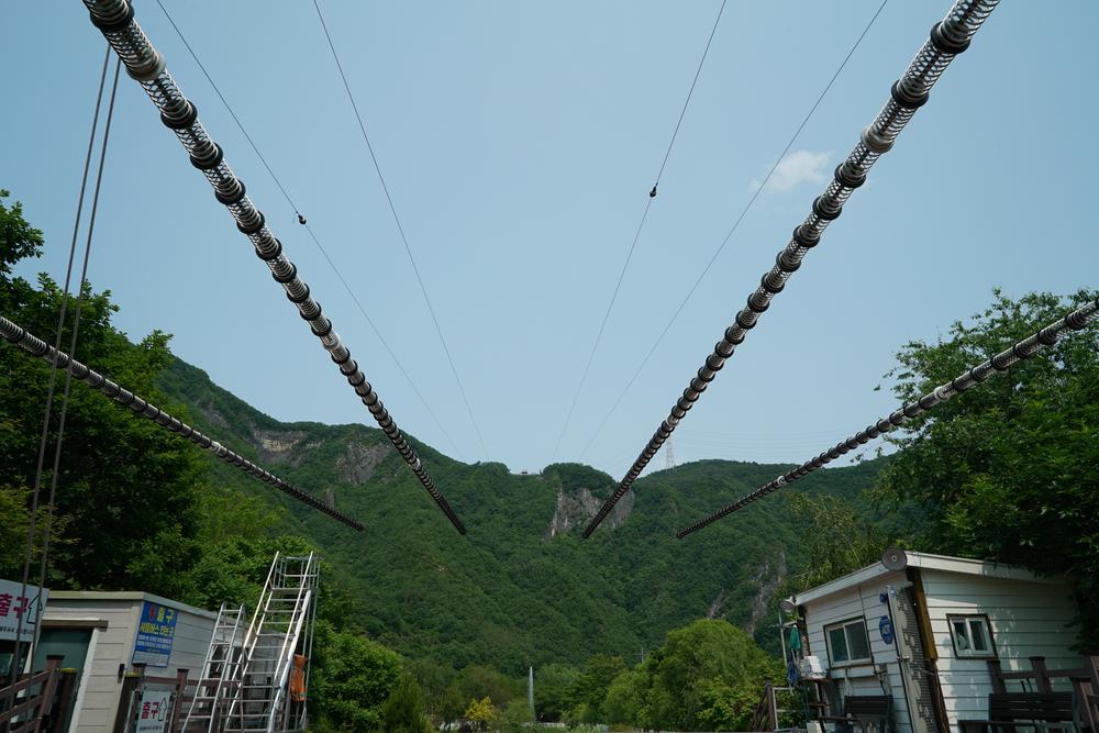 정선군생태체험학습장야영장 펫 동반 캠핑장
