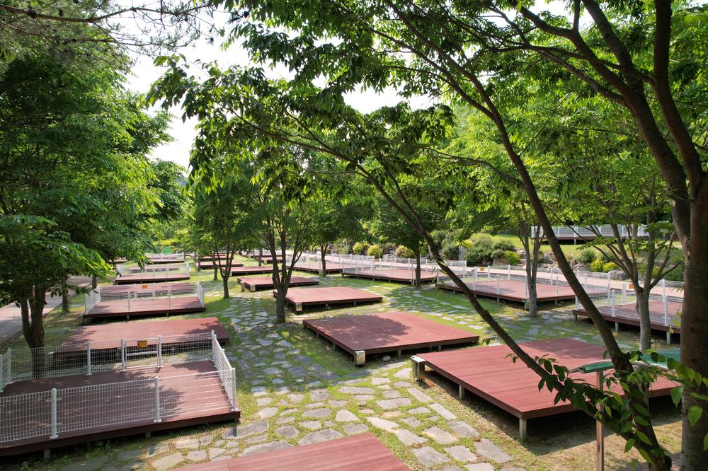 정선군생태체험학습장야영장 펫 동반 캠핑장