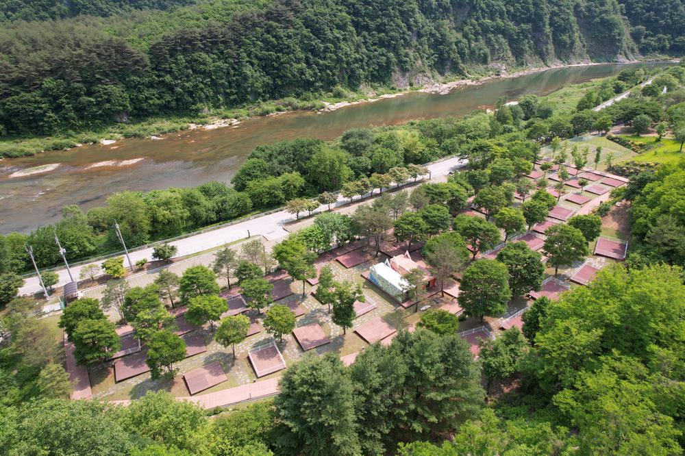 정선군생태체험학습장야영장 펫 동반 캠핑장