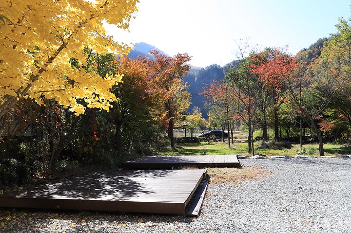 정선애 펜션 캠핑장