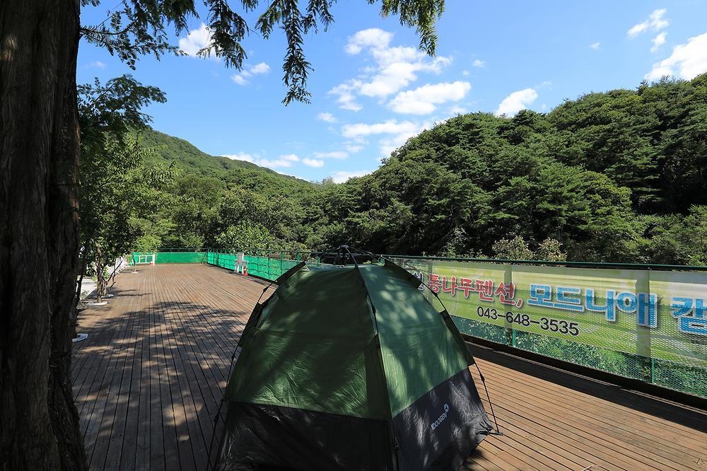 제천모드니애캠핑장