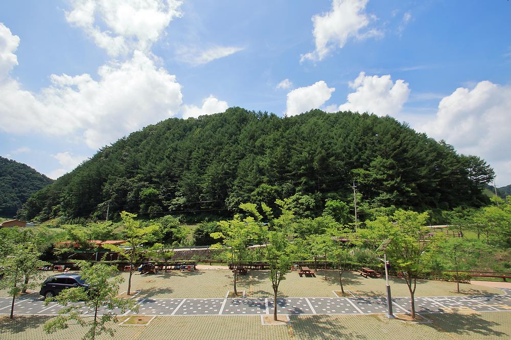 좌구산오토캠핑장