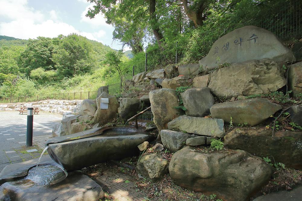 좌구산오토캠핑장
