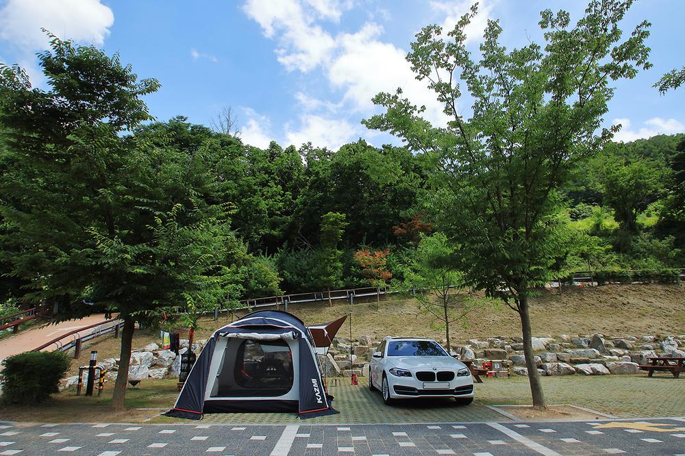 좌구산오토캠핑장