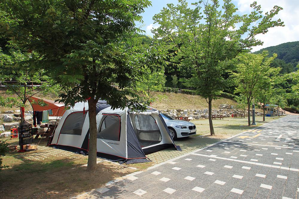 좌구산오토캠핑장