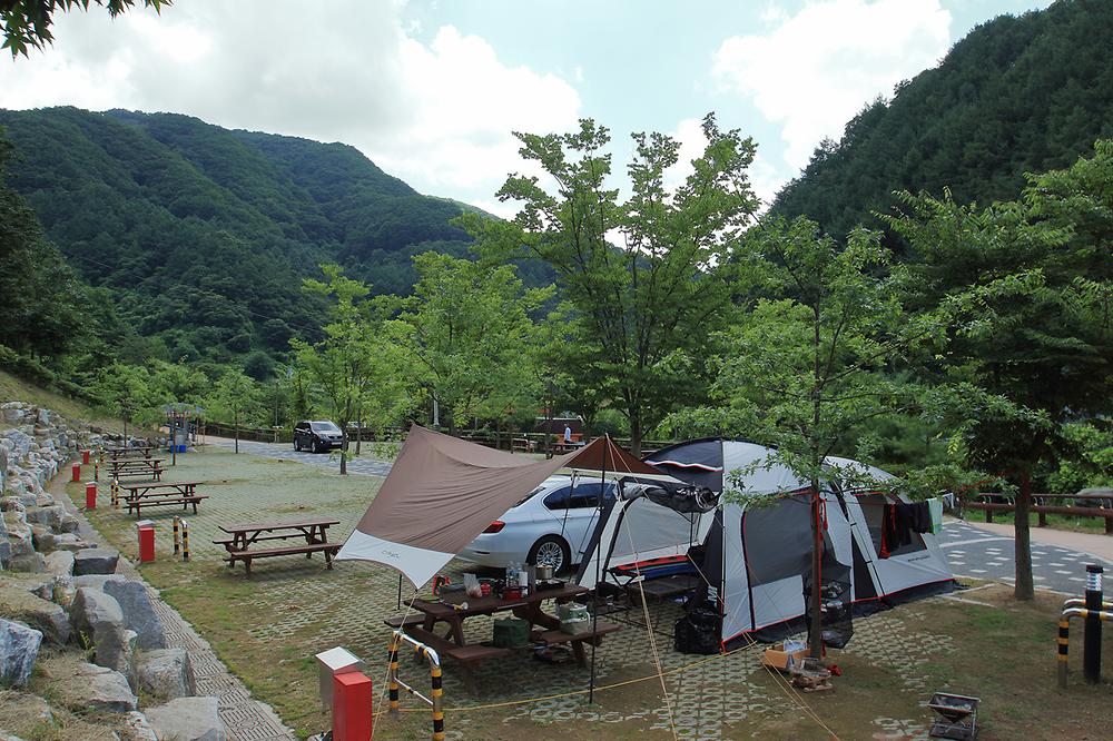 좌구산오토캠핑장