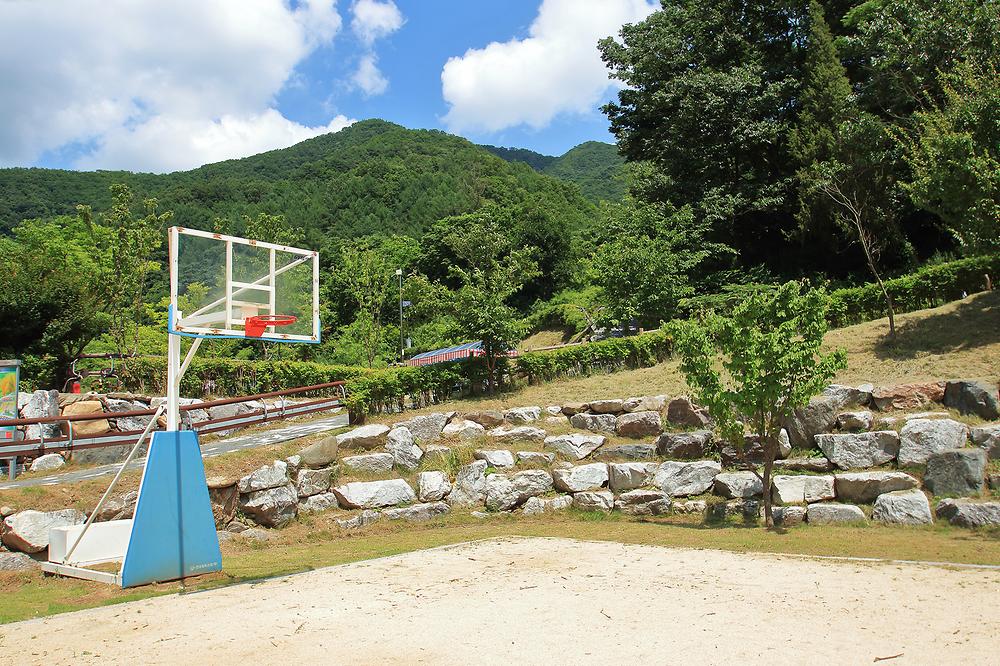 좌구산오토캠핑장