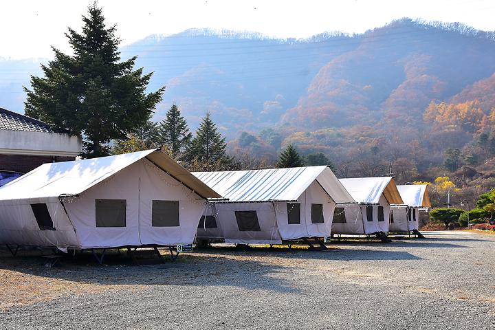 신북온천글램핑장 메인 이미지