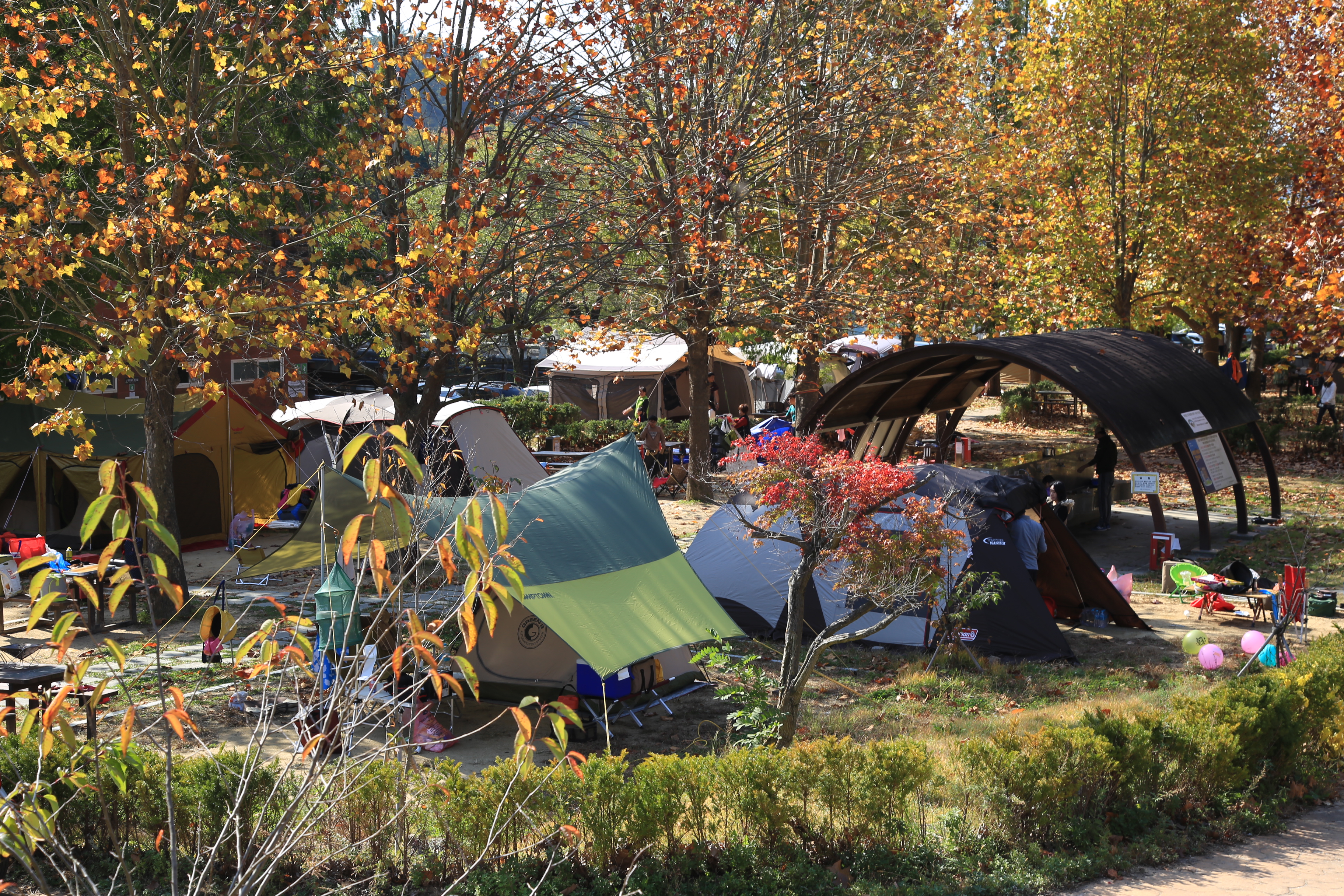 상의자동차야영장