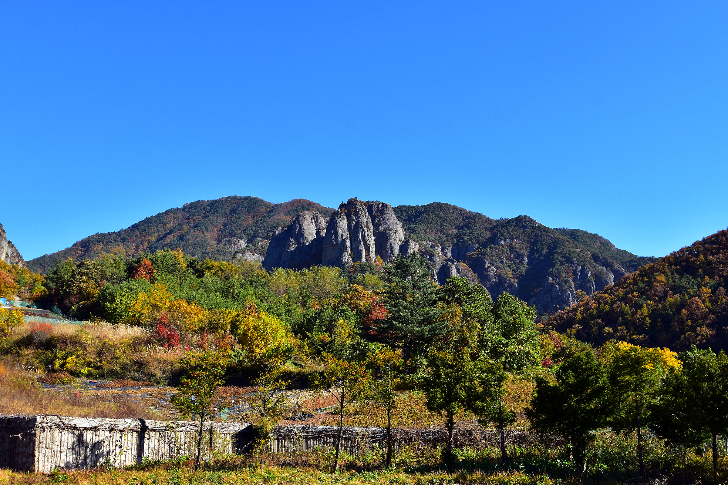 상의야영장