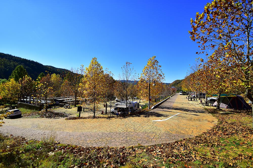 주왕산국립공원 상의자동차 야영장
