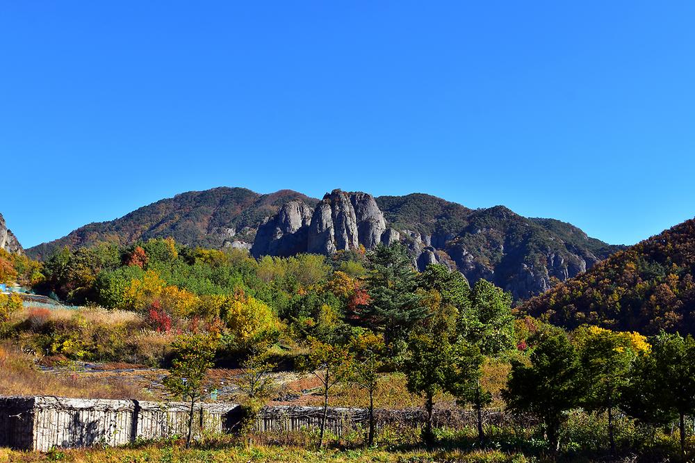 주왕산국립공원 상의자동차 야영장