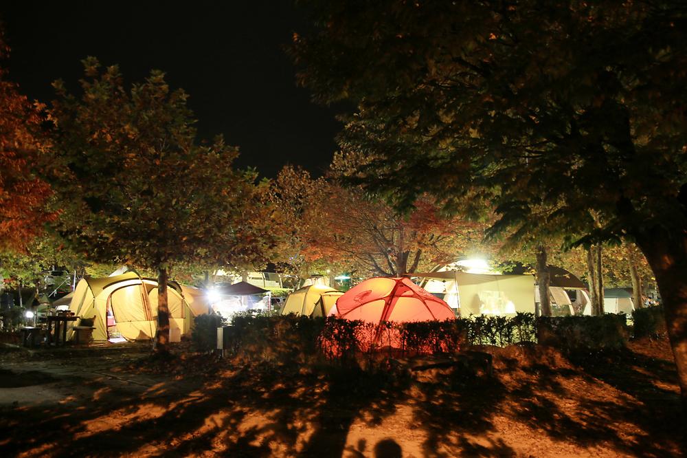 주왕산국립공원 상의자동차 야영장
