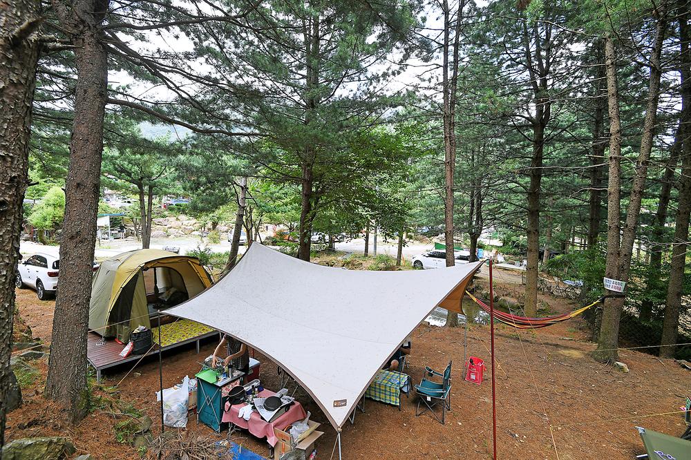 지리산 숲속의 쉼터