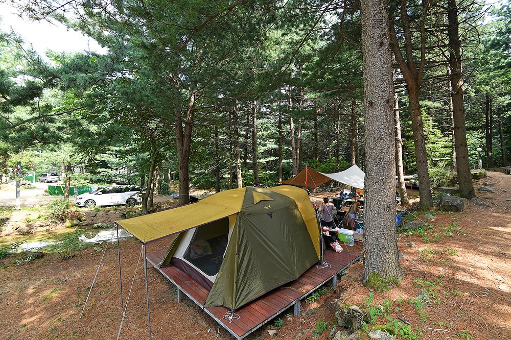 지리산 숲속의 쉼터
