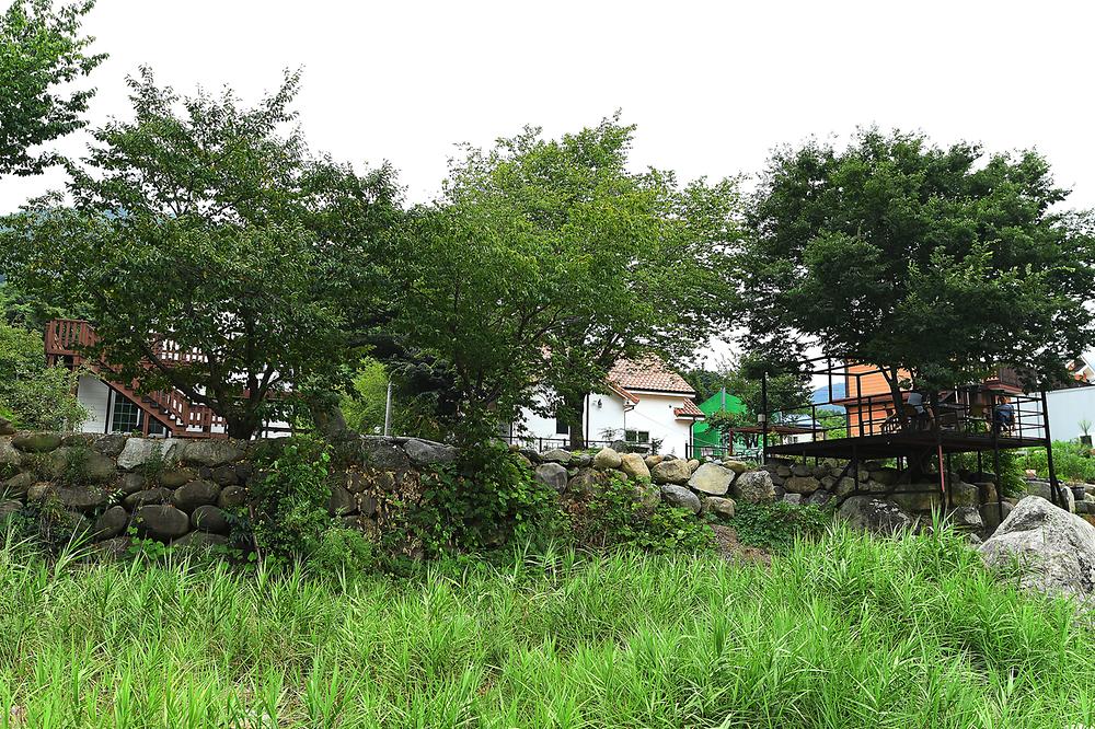 지리산백무동파크야영장