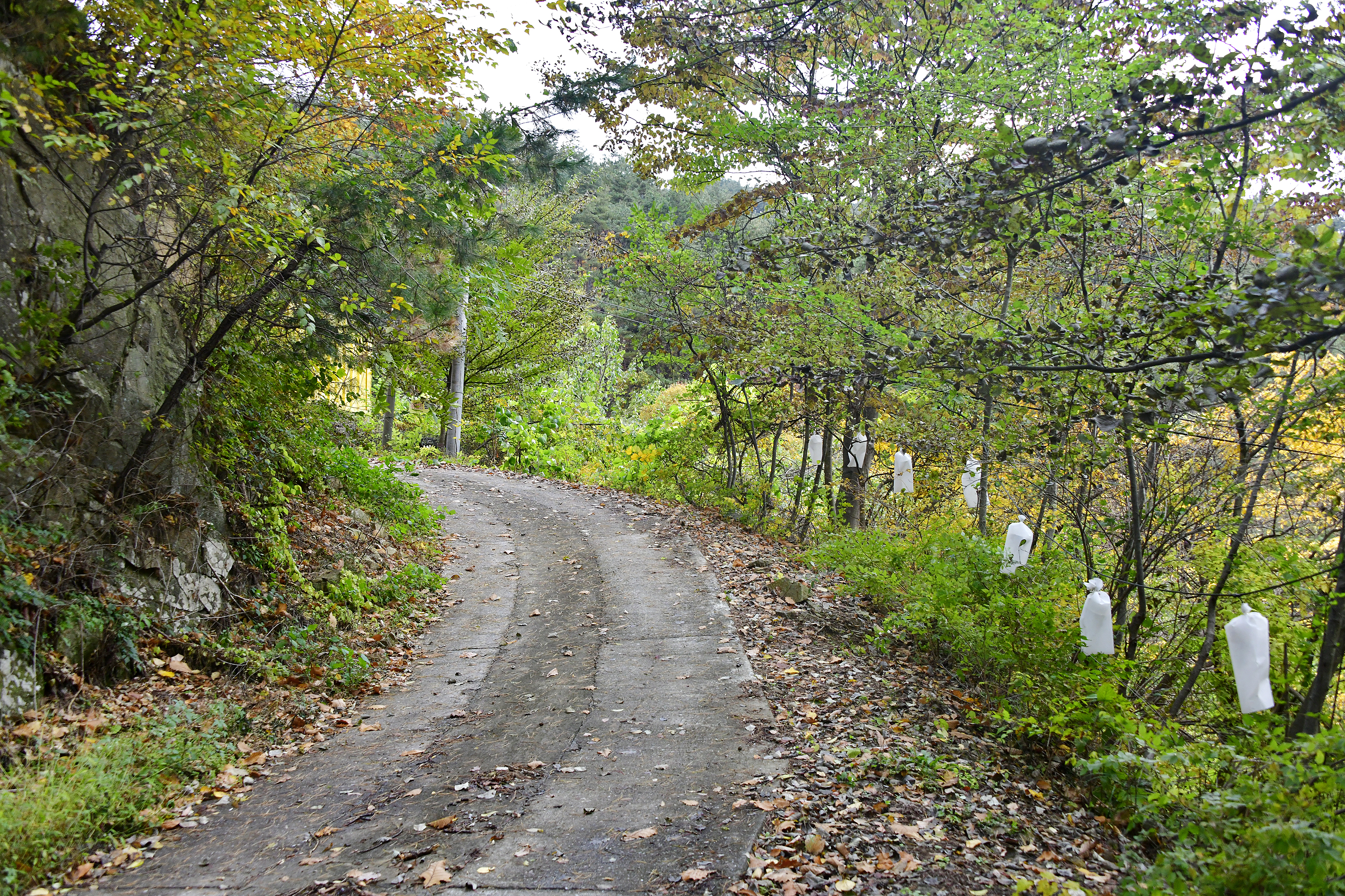 지리산오도재 힐링 캠핑장