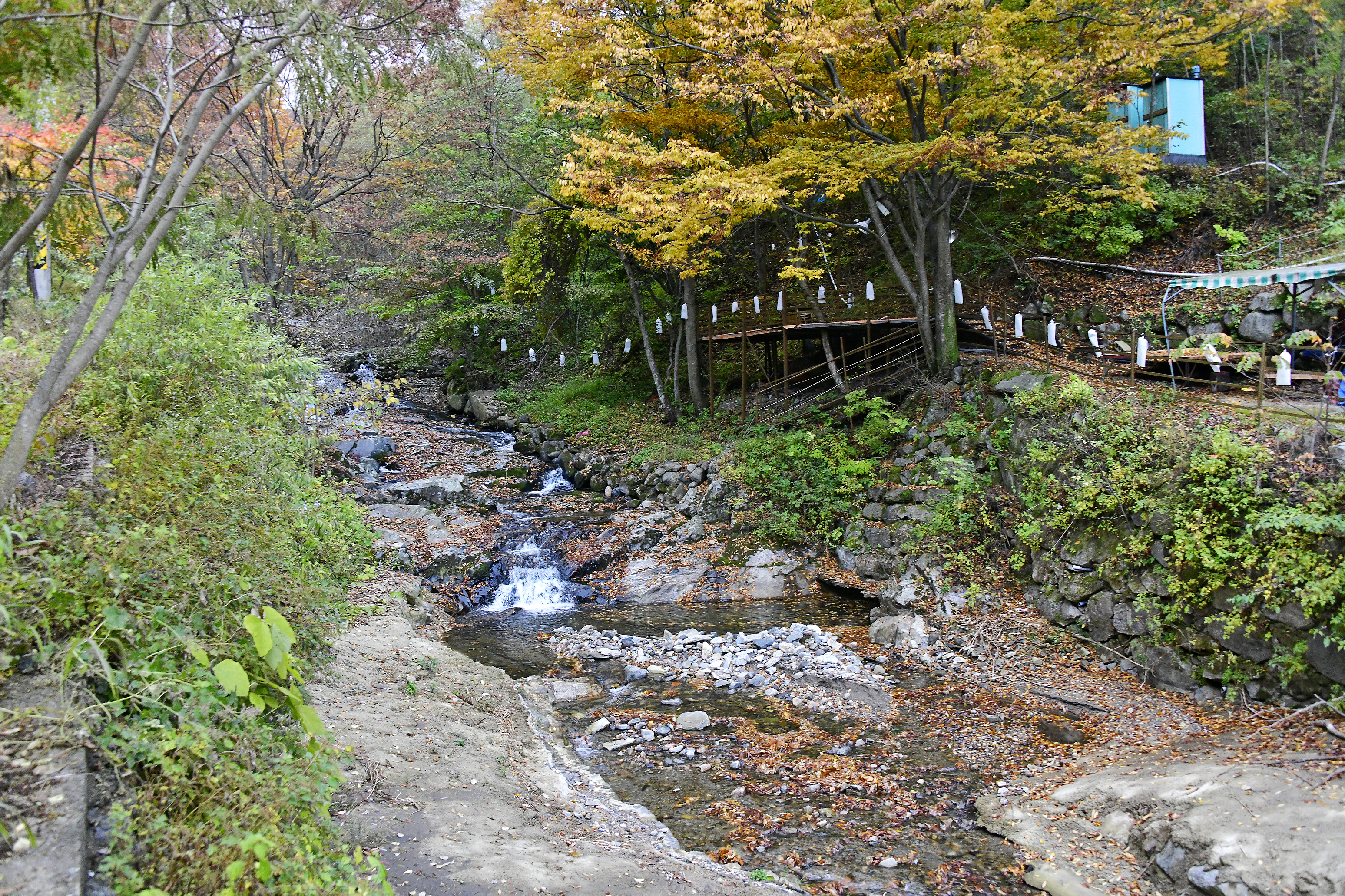 지리산오도재 힐링 캠핑장
