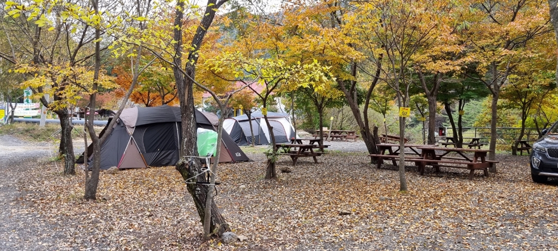 지리산천왕봉오토캠핑장