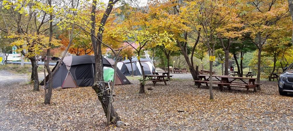 지리산천왕봉오토캠핑장