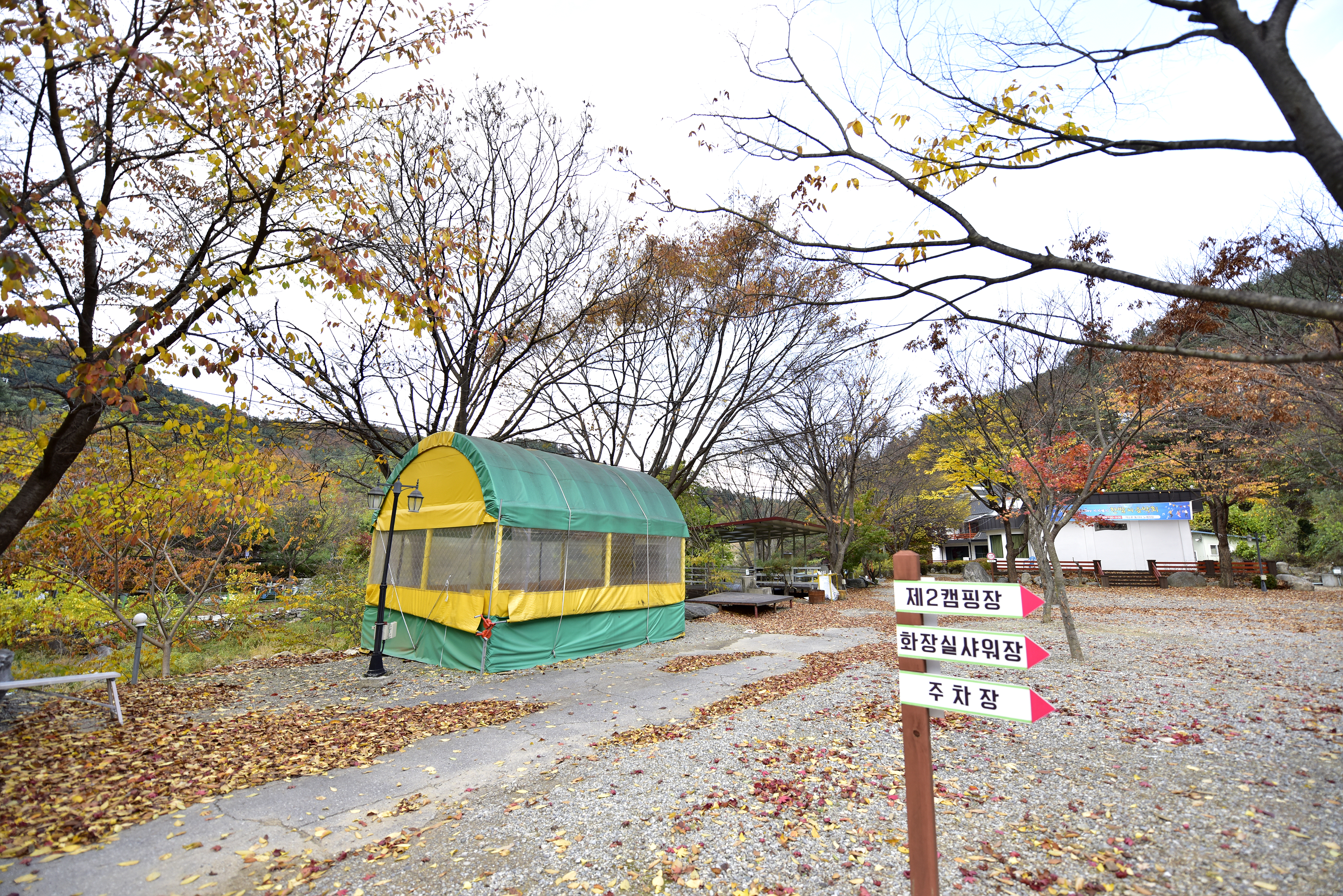 지지밸리 유명산 오토캠핑장