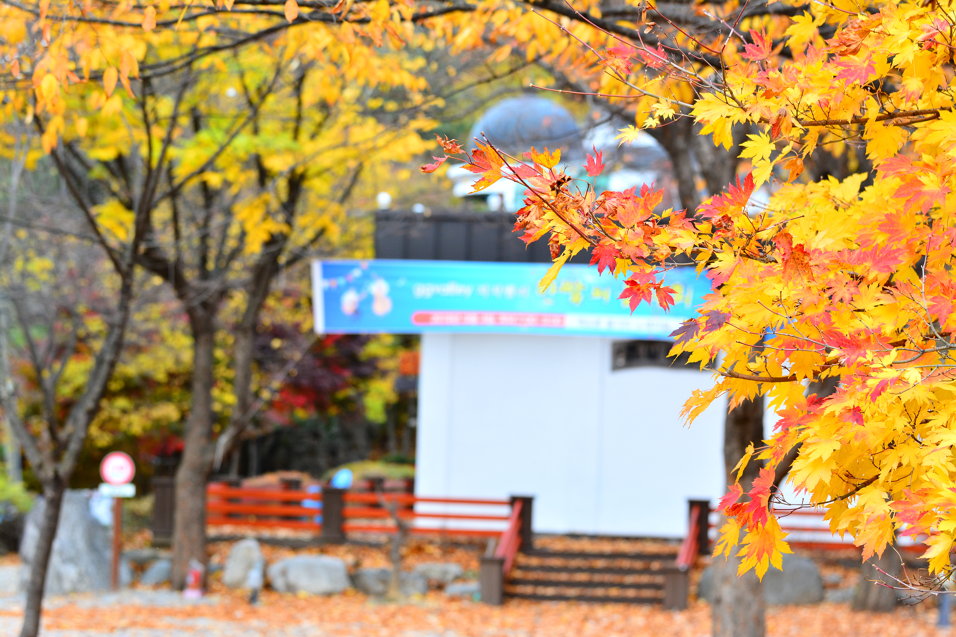 지지밸리 유명산 오토캠핑장