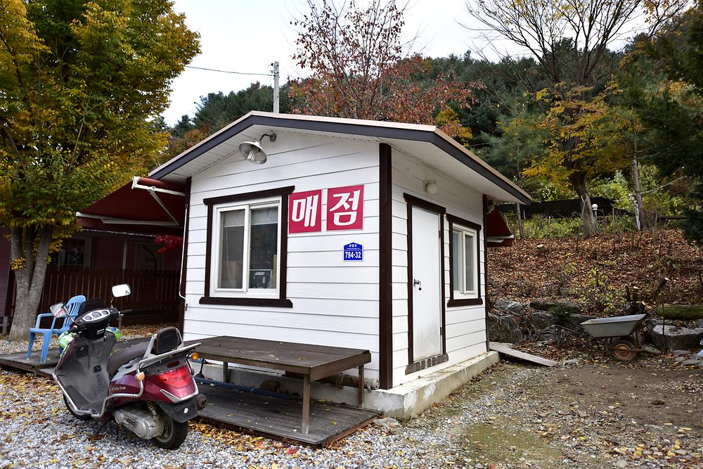 지지벨리 유명산 오토캠핑장