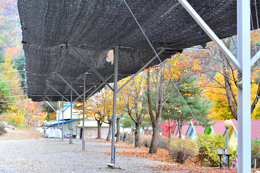 지지벨리 유명산 오토캠핑장
