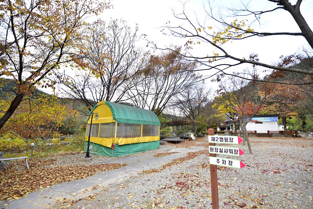 지지벨리 유명산 오토캠핑장