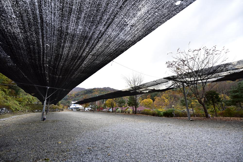 지지벨리 유명산 오토캠핑장