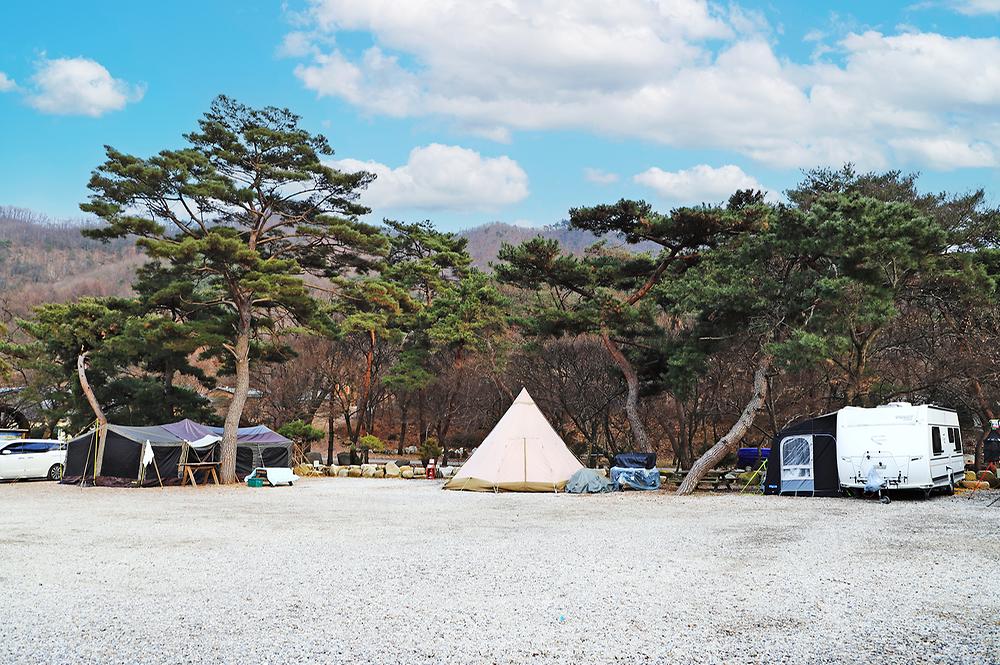 진밭골향기관광농원 야영장