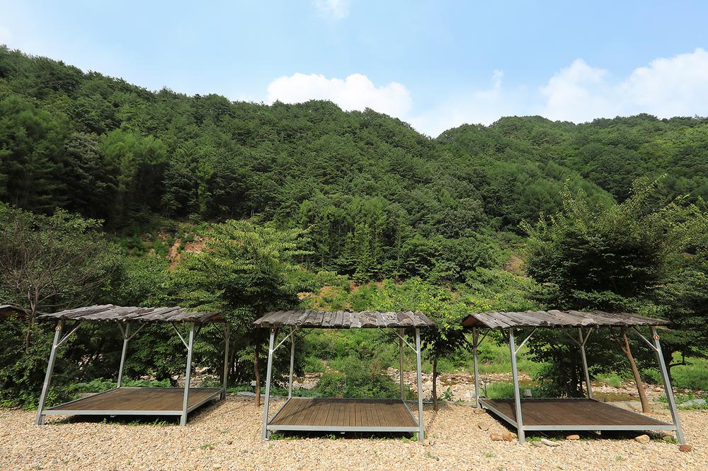 고향펜션캠핑