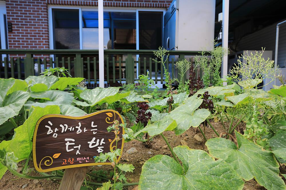 고향펜션캠핑