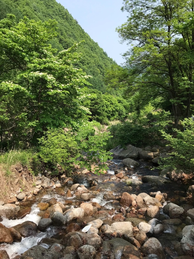 천동계곡 캠핑장
