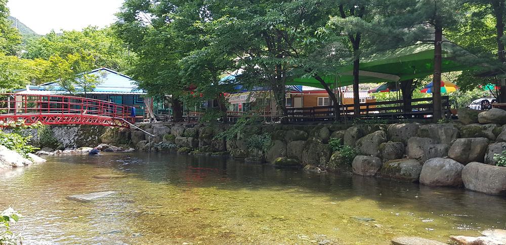 단양 천동계곡 캠핑장 그린농원