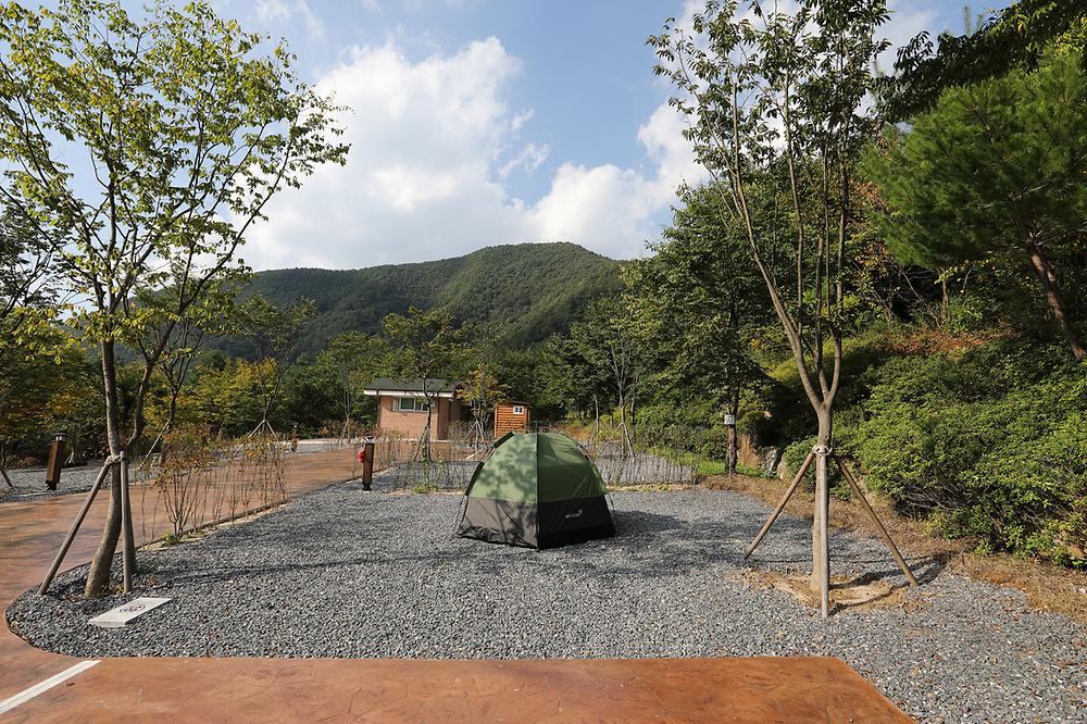 천동오토캠핑장